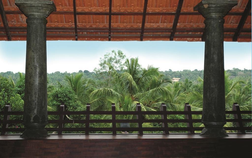 Amrutham Ayurvedic Village Resort Kovalam Chambre photo